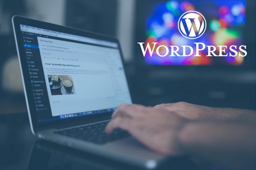 Houston Wordpress Designer