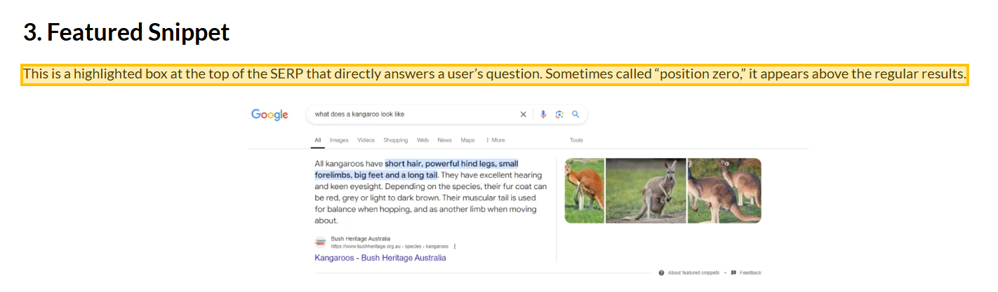 Highligts the meaning of Featured Snippet