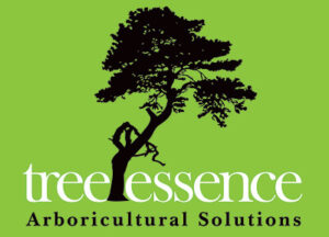 Tree Essence