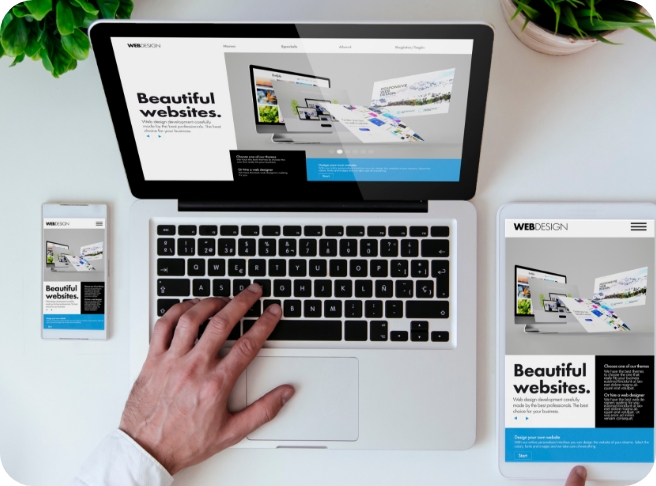 Web Design & Development - Digital Marketing Services